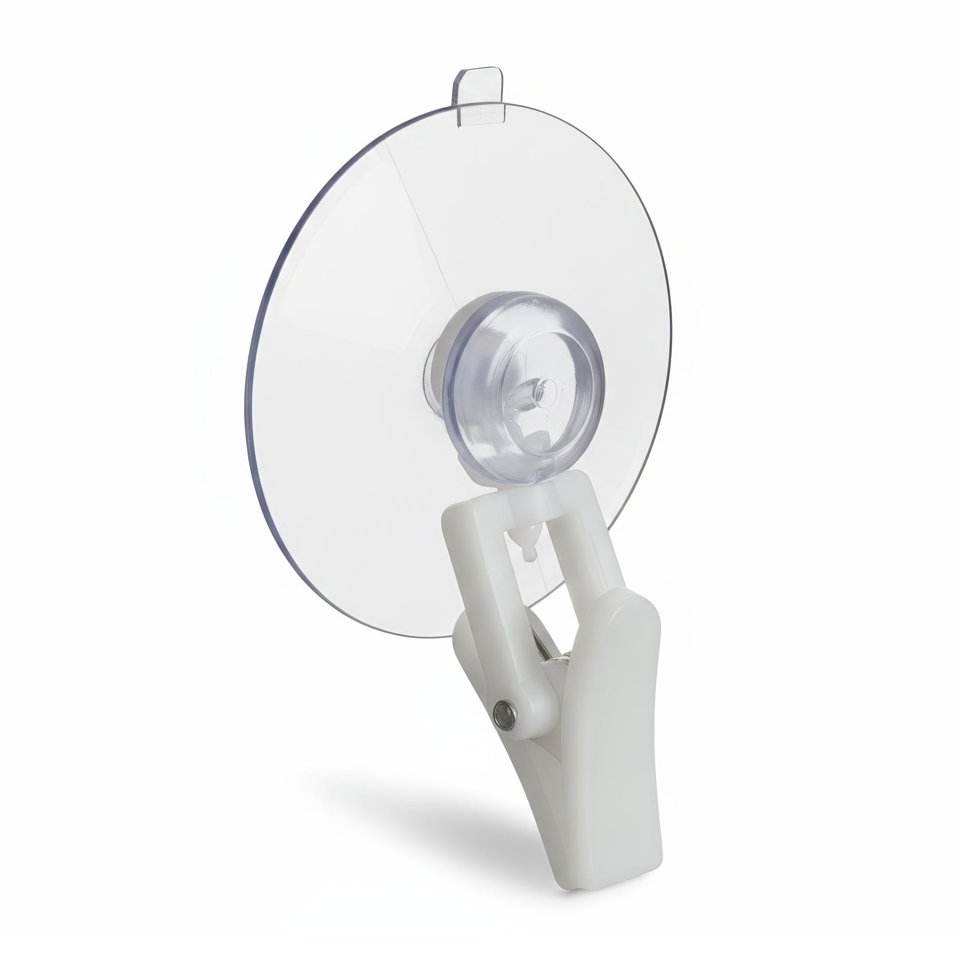 Suction cup with clip to display foam board in window