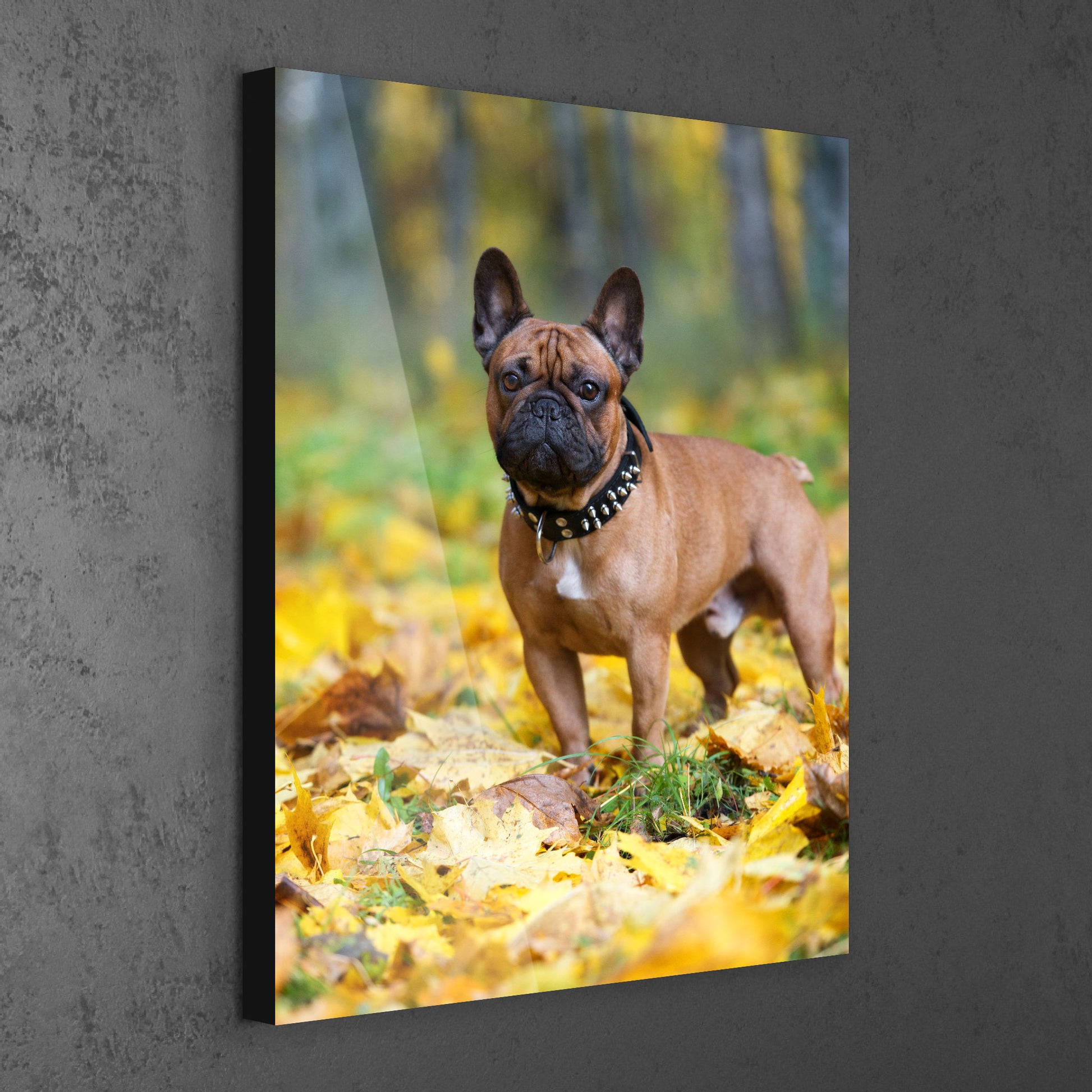 Edge capped foam board photo prints with included hanging hardware