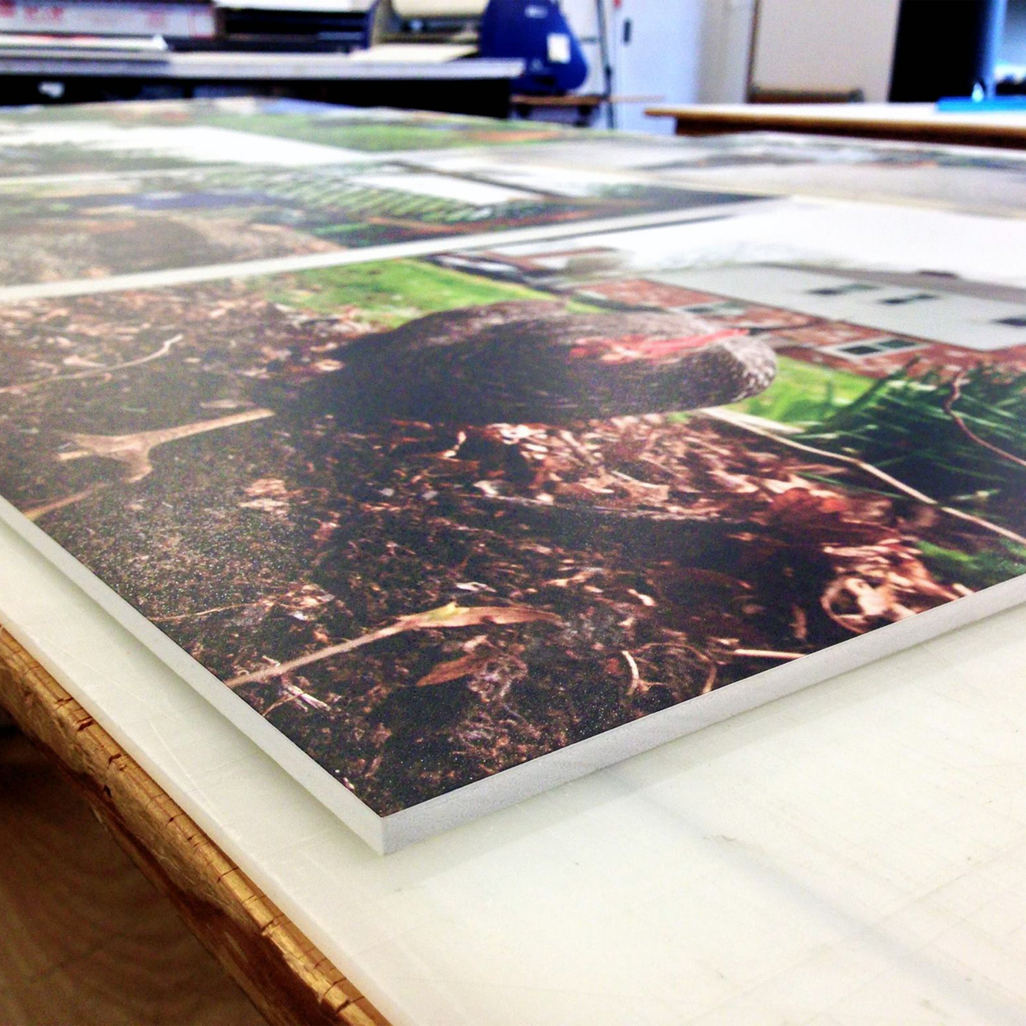 Foam Board Printing