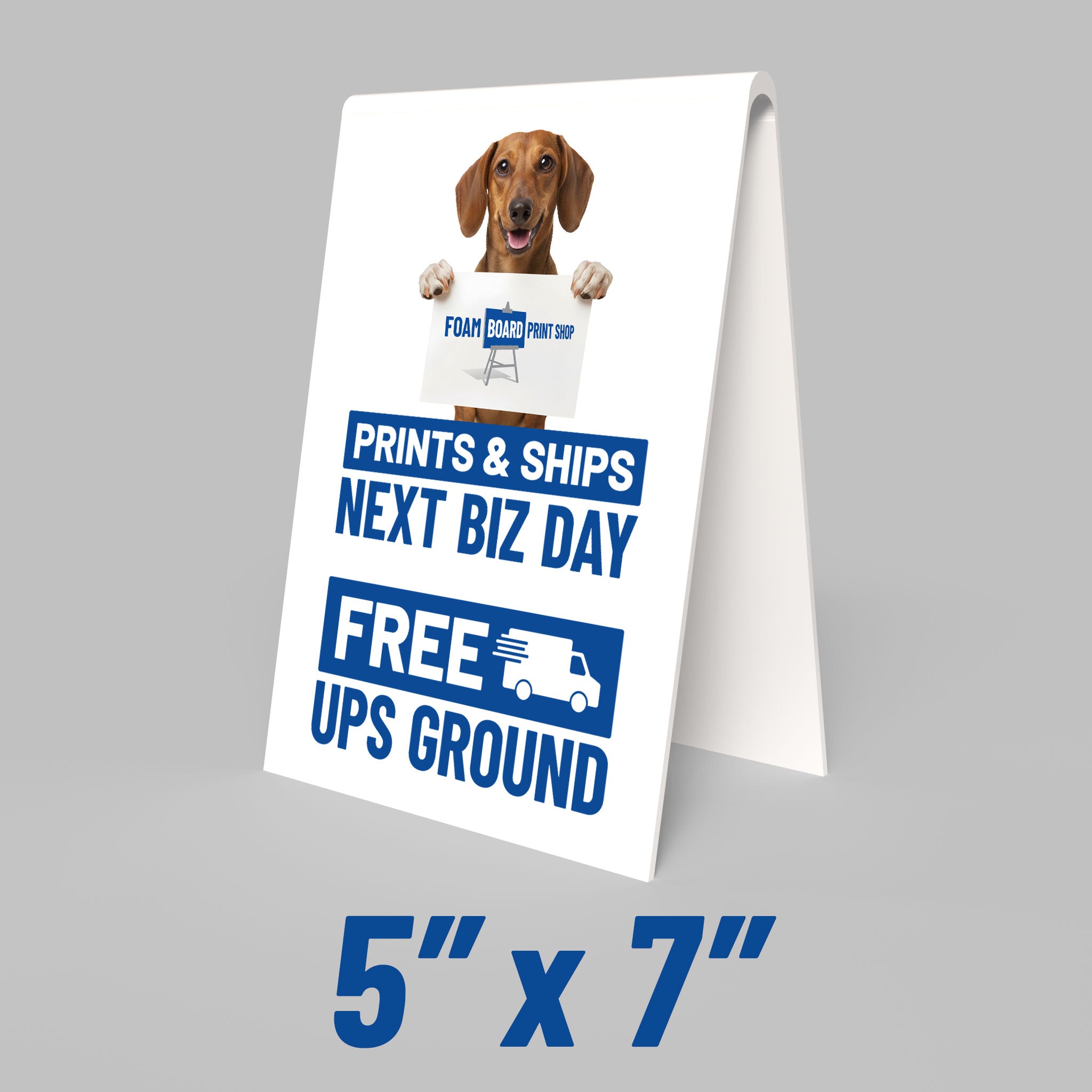PVC Table Tents